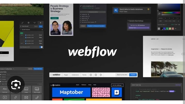 Read more about the article Webflow Tutorial: The ultimate guide to no-code learning